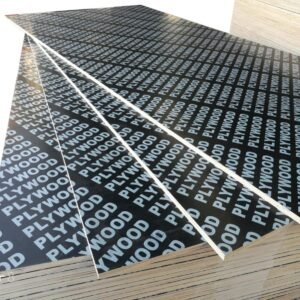 WhatsApp Image 2026-01-11 at 13.35.52