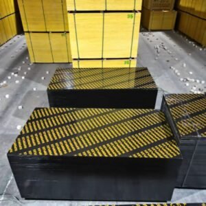 WhatsApp Image 2026-01-11 at 13.35.55